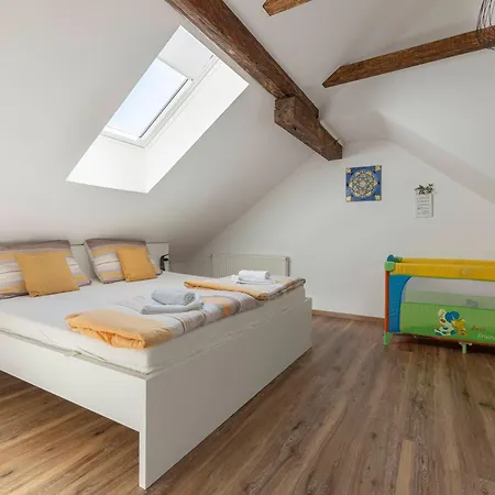 House Zalec Holiday home *